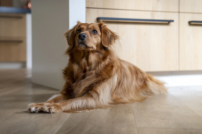 Keuken Benschop | Schoonhoven Keukens